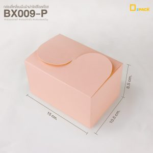 BX009-04