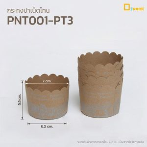 PNT001
