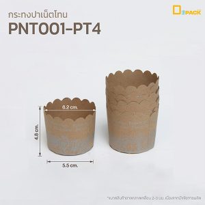 PNT001